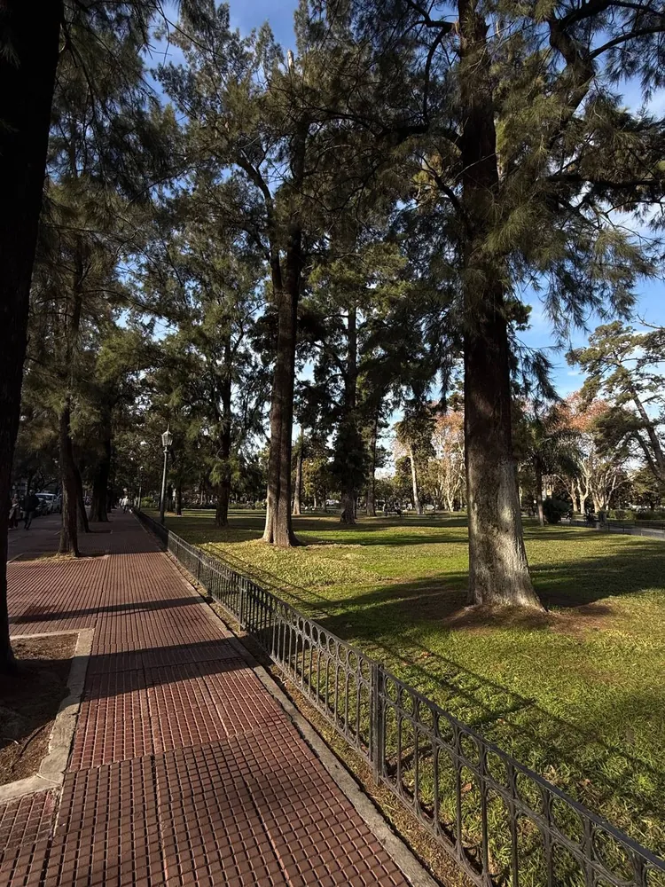 Proyecto Cs Orión